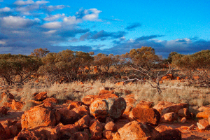 where to go this weekend nt
